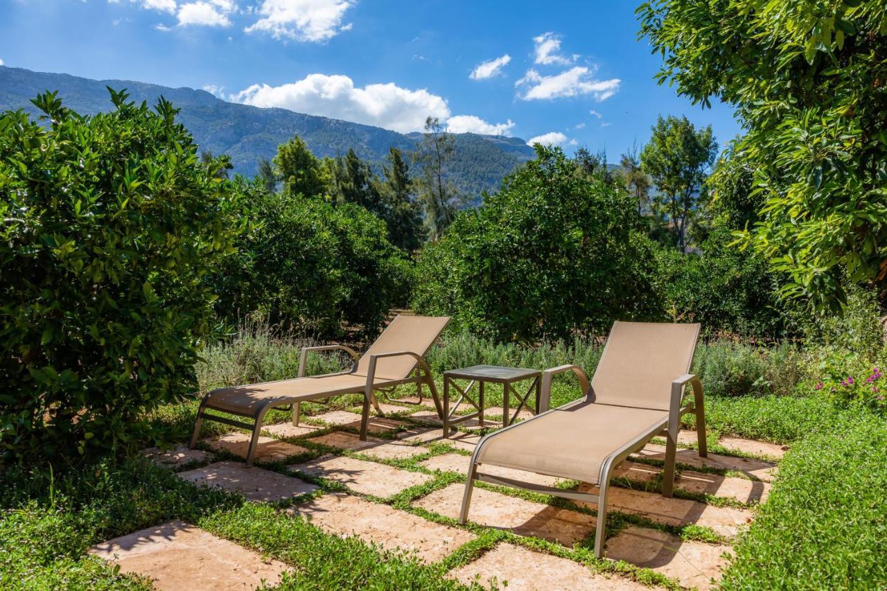 Ca's Curial - - Adults Only Alloggio per agriturismo