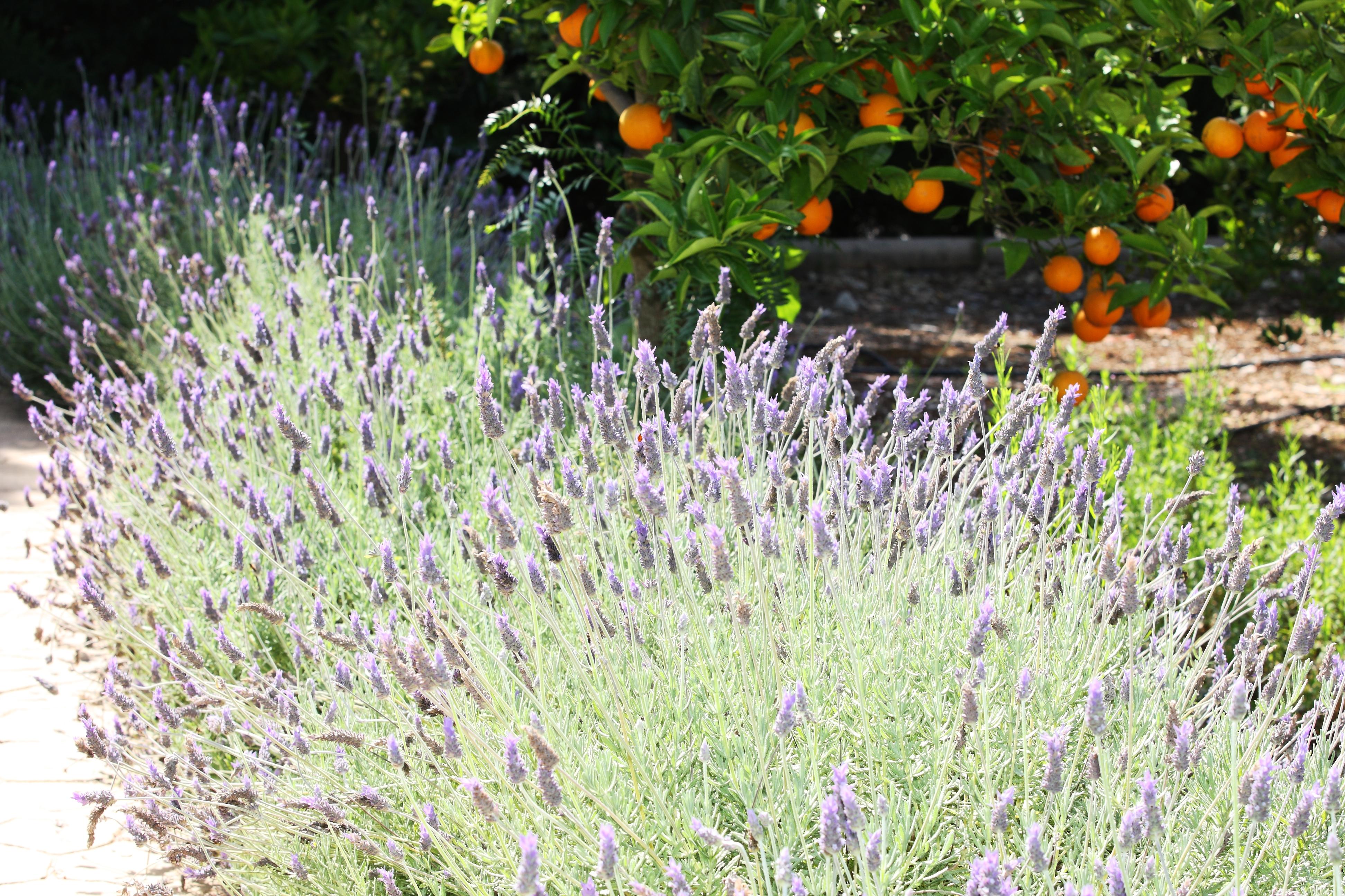 Ca's Curial - - Adults Only Bauernhof