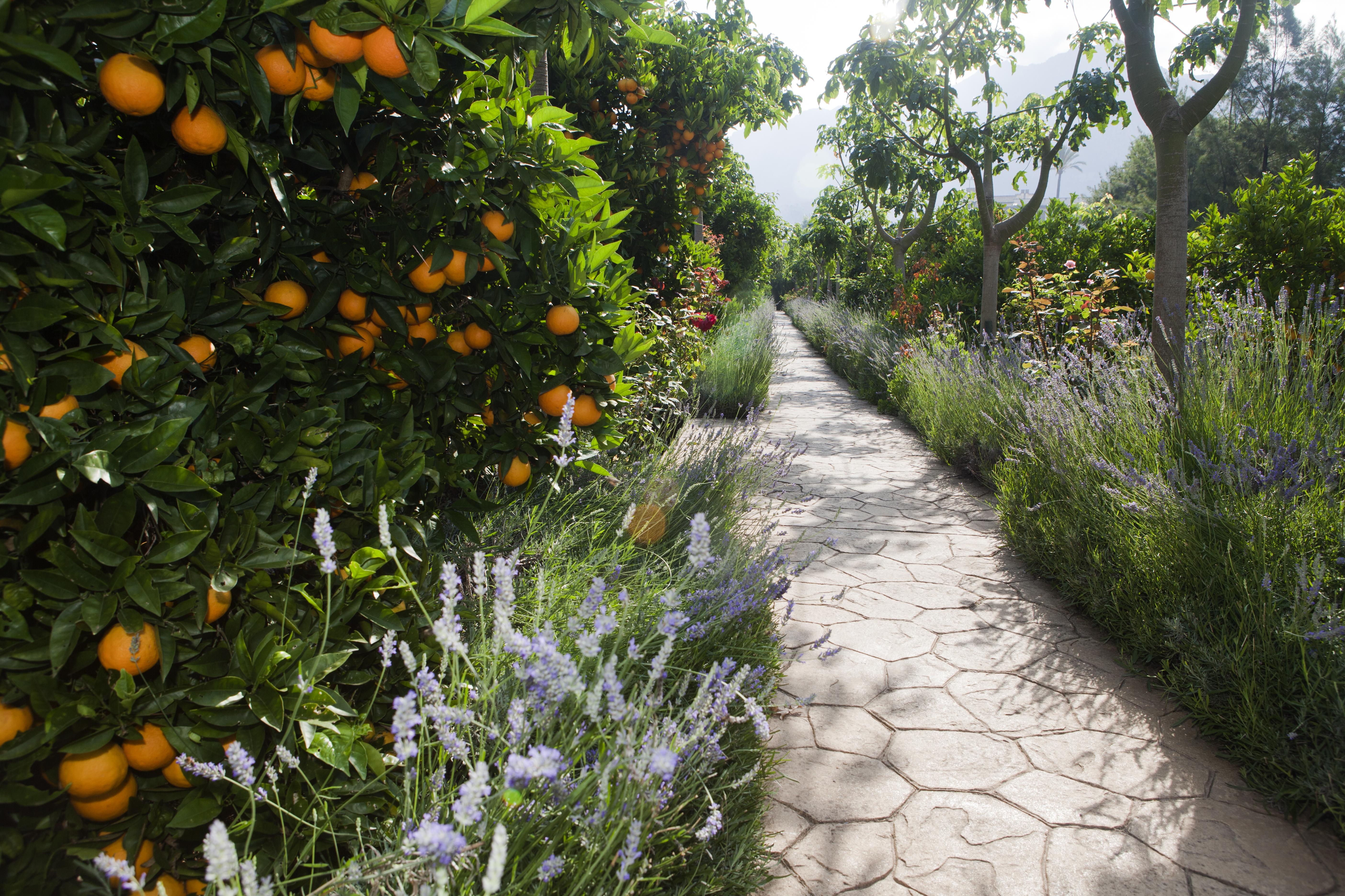 Bauernhof Ca's Curial - - Adults Only *
