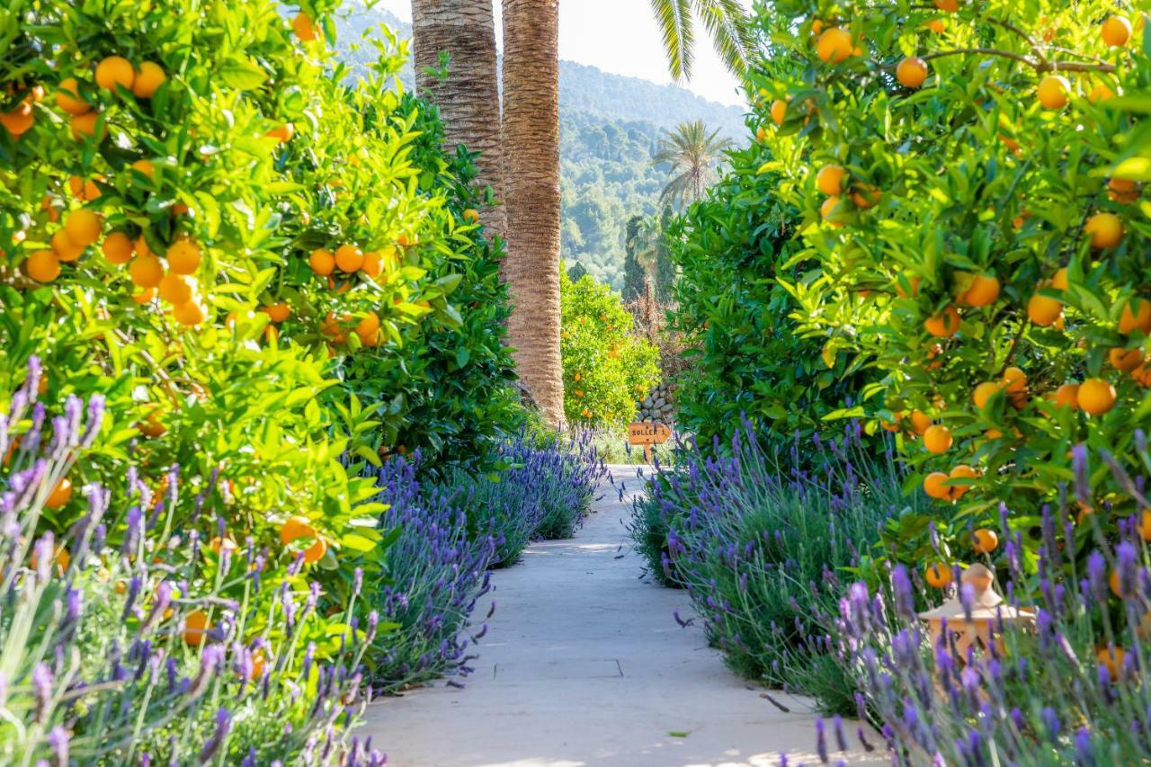 Ca's Curial - - Adults Only Bauernhof Sóller